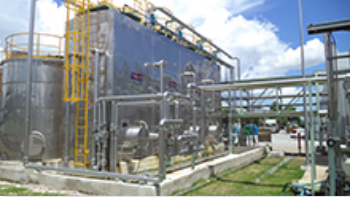 Plant Construction